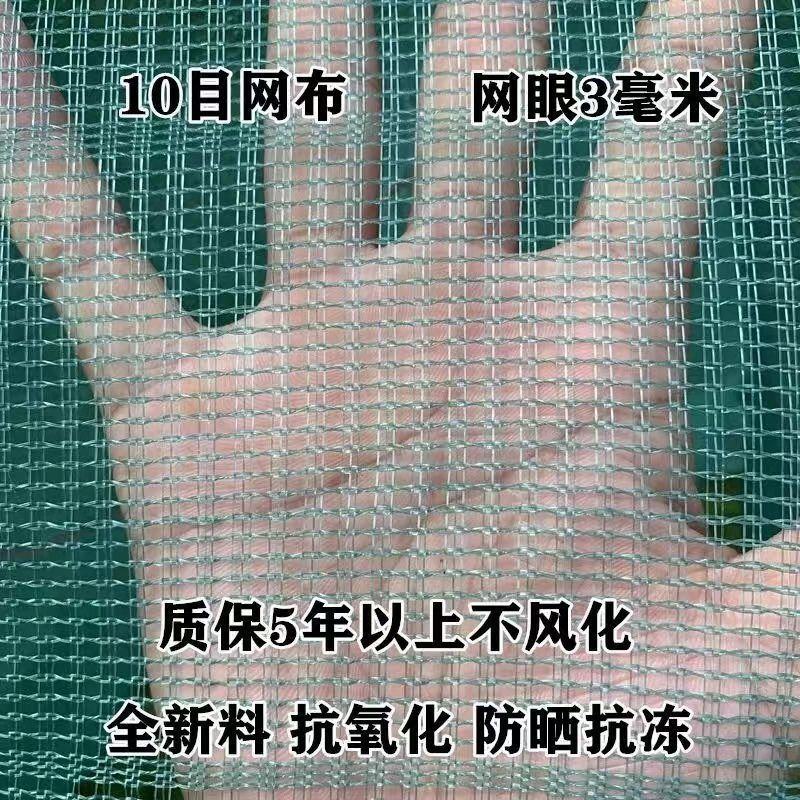 养鱼鱼护吊笼折叠鱼护鱼网兜养鱼龙虾泥鳅螃蟹黄鳝网箱存鱼