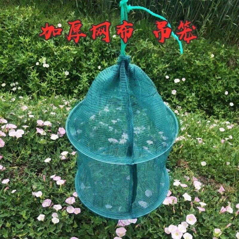 养鱼鱼护吊笼折叠鱼护鱼网兜养鱼龙虾泥鳅螃蟹黄鳝网箱存鱼