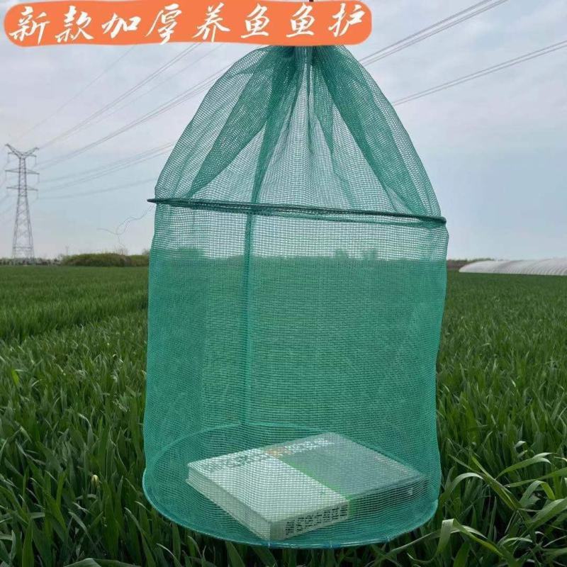 养鱼鱼护吊笼折叠鱼护鱼网兜养鱼龙虾泥鳅螃蟹黄鳝网箱存鱼