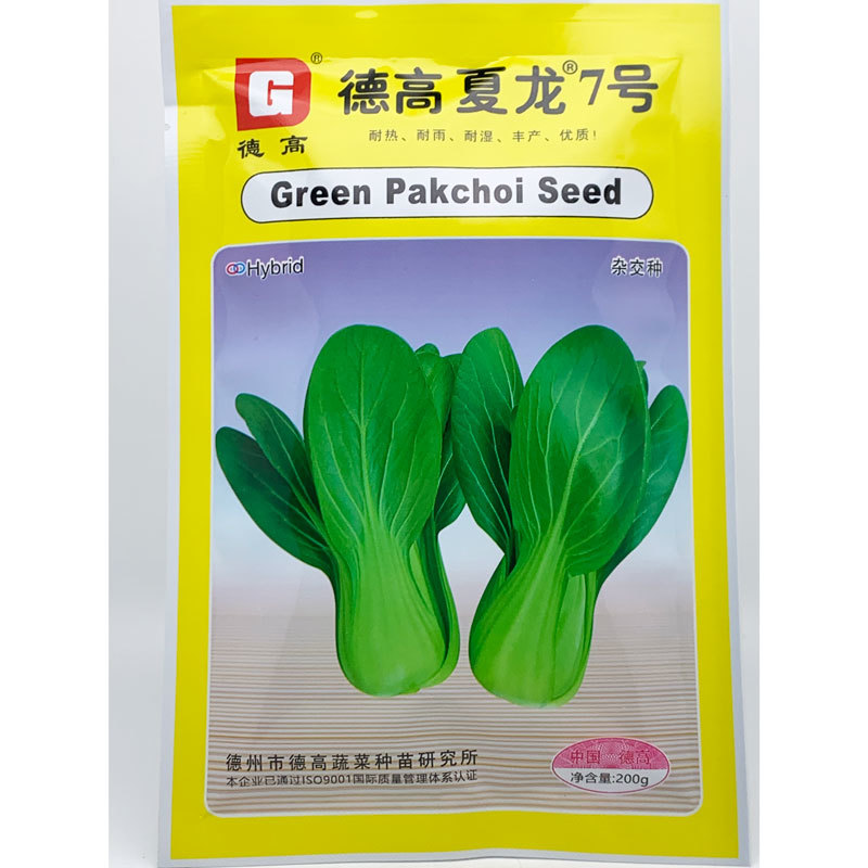 夏龙7号耐热青梗菜种子耐湿抗病20-40天采收原装