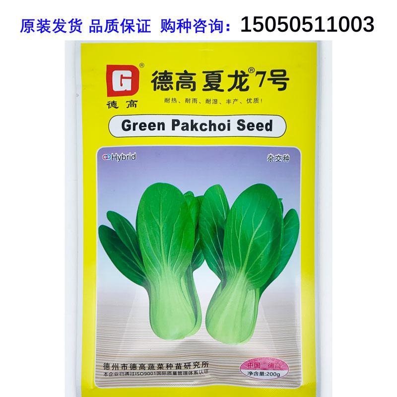 夏龙7号耐热青梗菜种子耐湿抗病20-40天采收原装