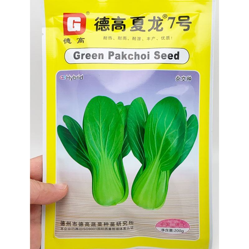 夏龙7号耐热青梗菜种子耐湿抗病20-40天采收原装