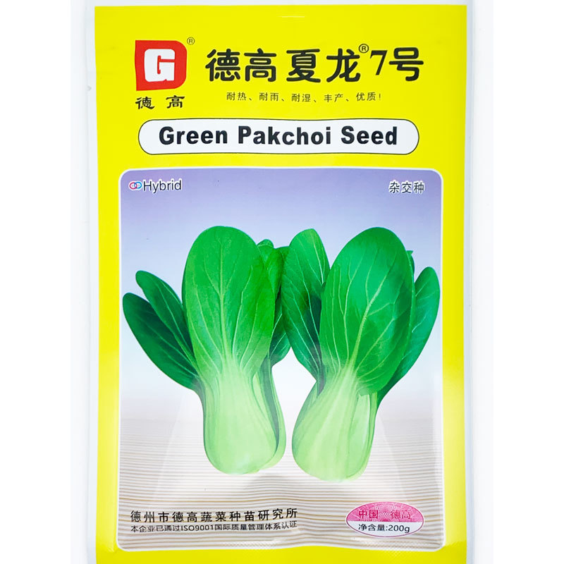 夏龙7号耐热青梗菜种子耐湿抗病20-40天采收原装