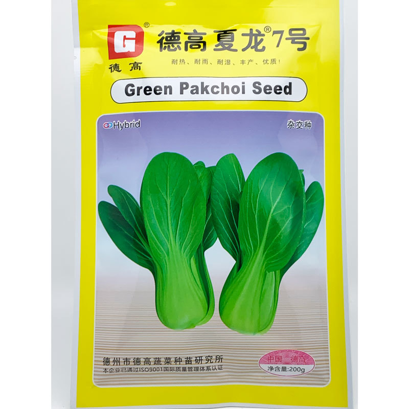 夏龙7号耐热青梗菜种子耐湿抗病20-40天采收原装
