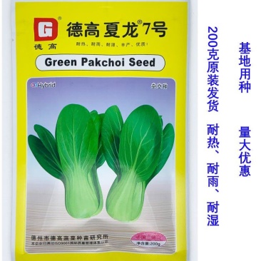 夏龙7号耐热青梗菜种子耐湿抗病20-40天采收原装