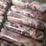 羊肉卷，国产育肥羊羔羊肉卷，纯干不调理无添加
