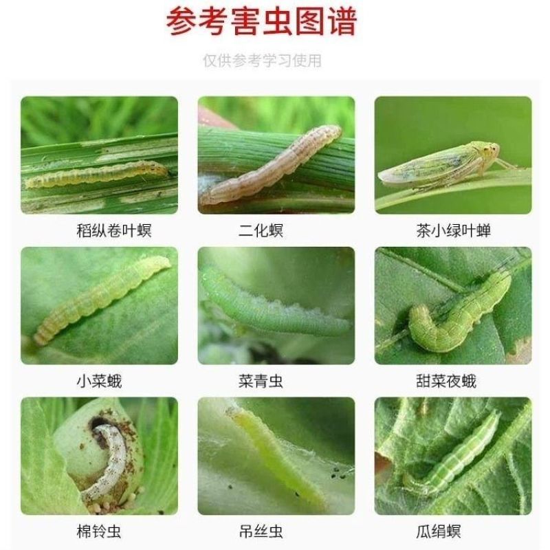 沪联甲维虫螨腈虱螨脲甜菜夜蛾吊丝虫菜青虫螟虫杀虫杀卵农药