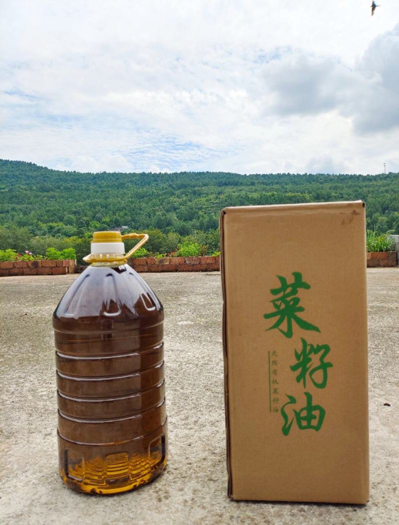 热销云南文山老农民菜籽油