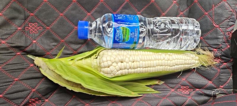 糯玉米