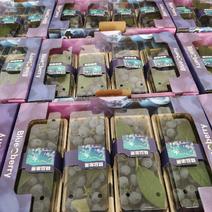 青岛莱克西串果蓝莓产地直供，一手货源，欢迎洽谈合作！！！