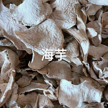 广东狼毒，大麻芋，海芋，鲜货，干货原产地批发