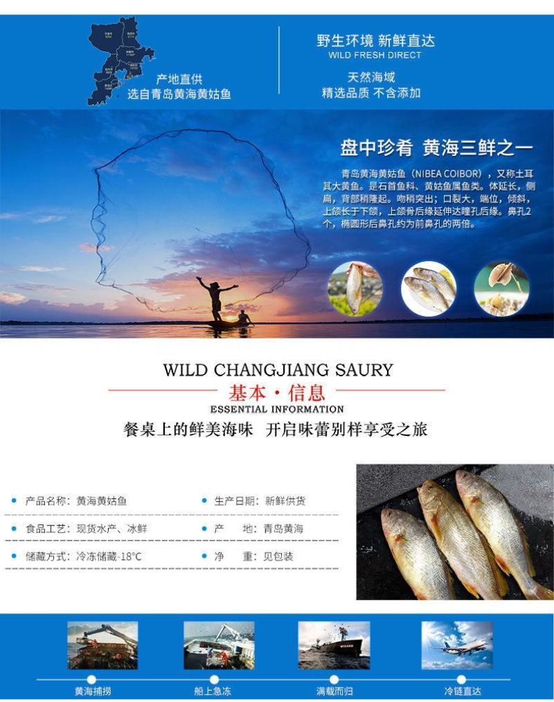 【限时抢购】青岛深海大海鱼批发冷冻新鲜捕捞深海鱼东海大海