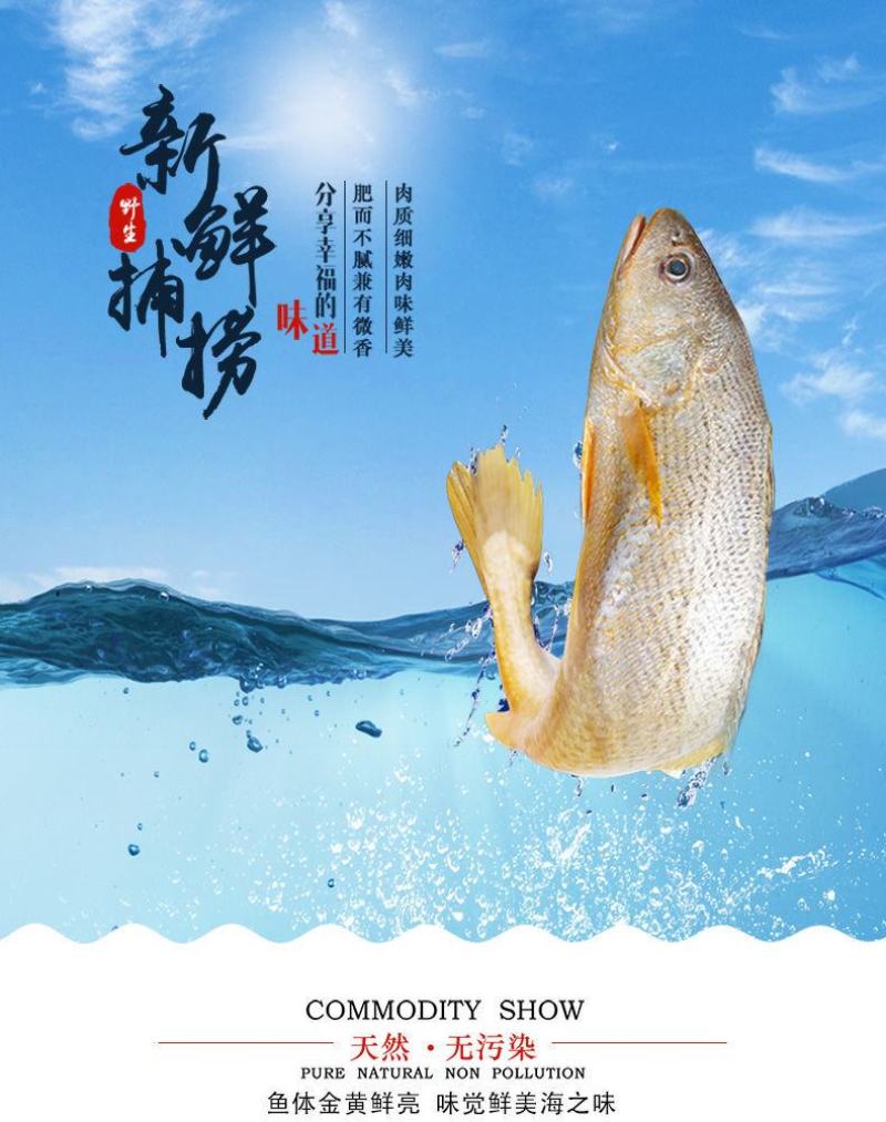 【限时抢购】青岛深海大海鱼批发冷冻新鲜捕捞深海鱼东海大海