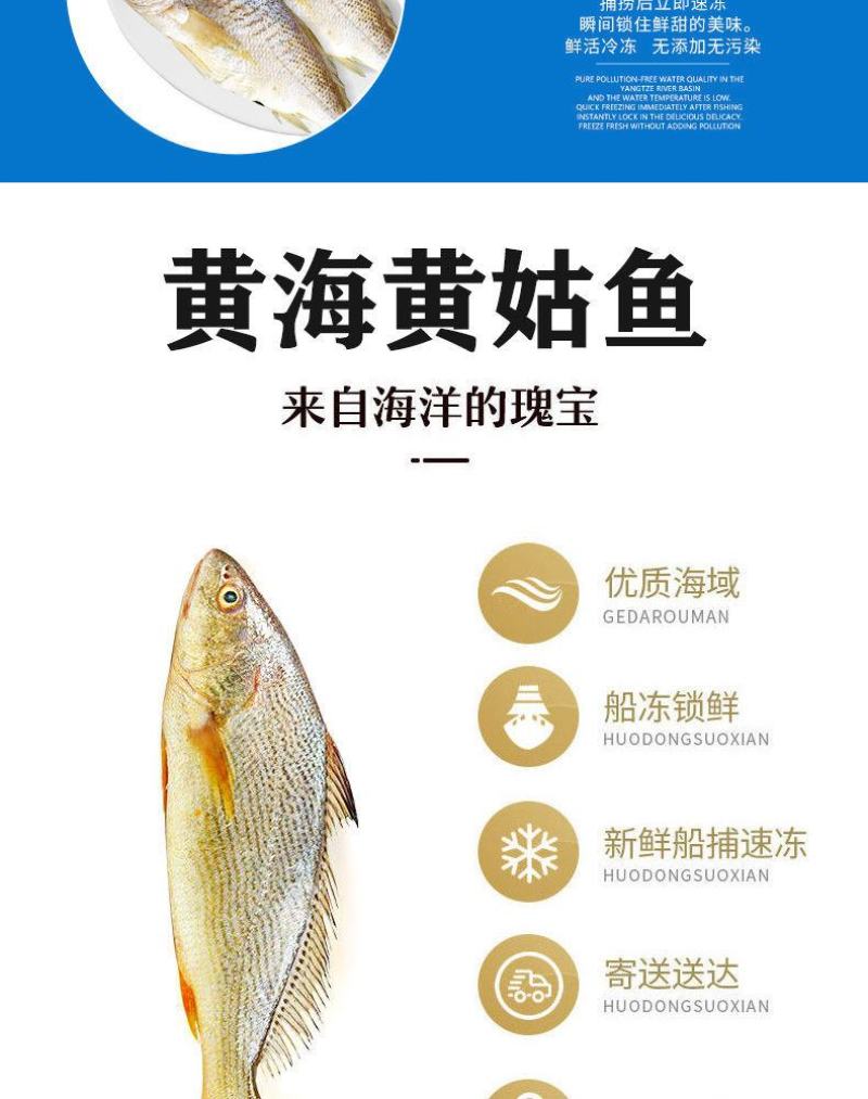 【限时抢购】青岛深海大海鱼批发冷冻新鲜捕捞深海鱼东海大海