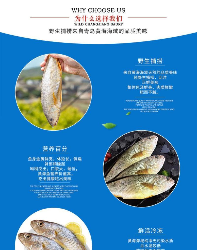 【限时抢购】青岛深海大海鱼批发冷冻新鲜捕捞深海鱼东海大海