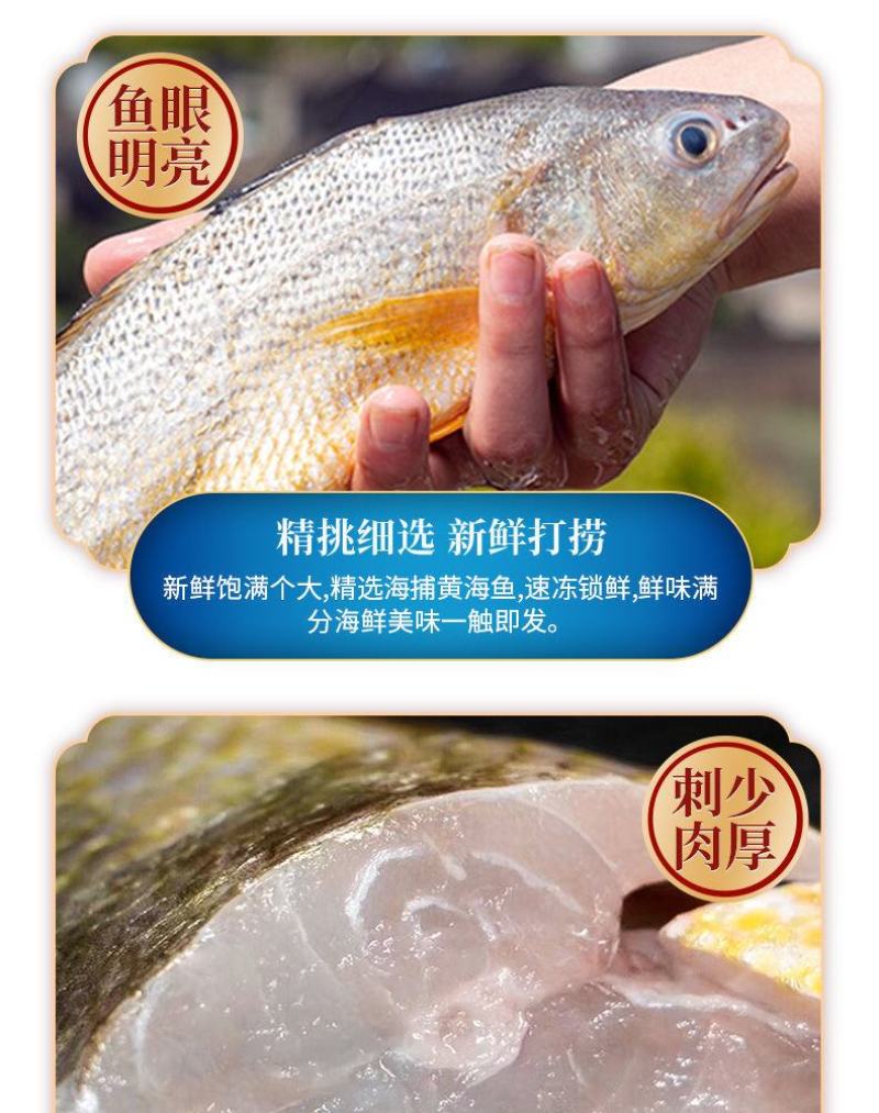 【限时抢购】青岛深海大海鱼批发冷冻新鲜捕捞深海鱼东海大海