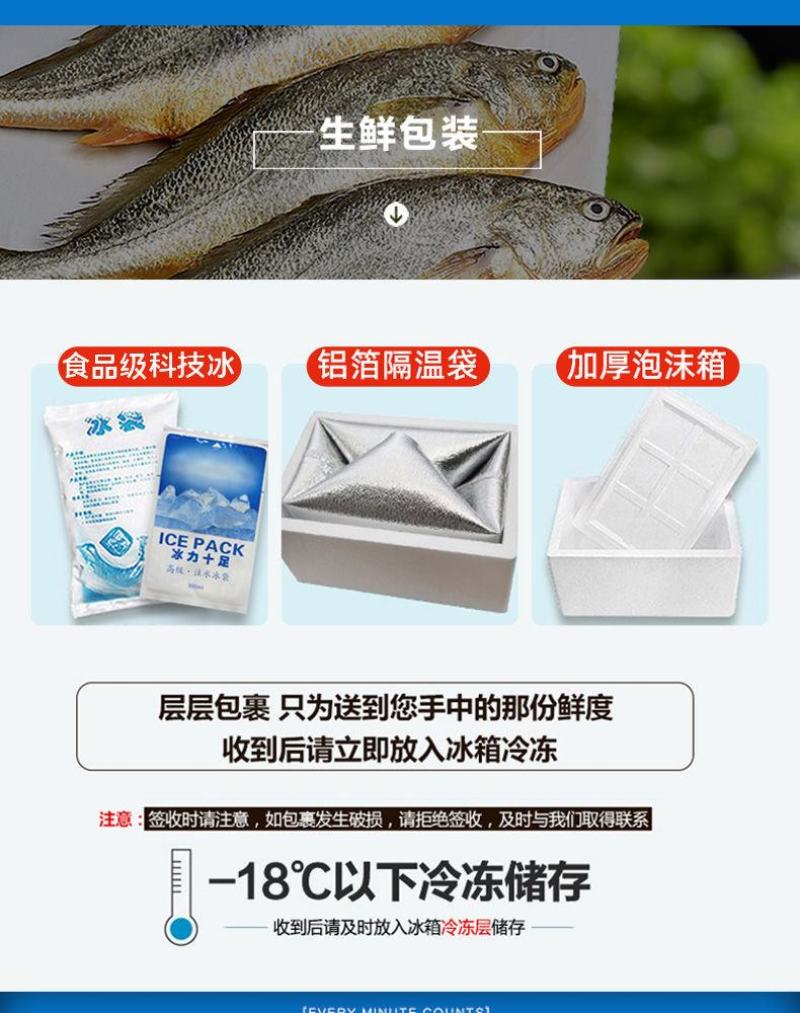 【限时抢购】青岛深海大海鱼批发冷冻新鲜捕捞深海鱼东海大海