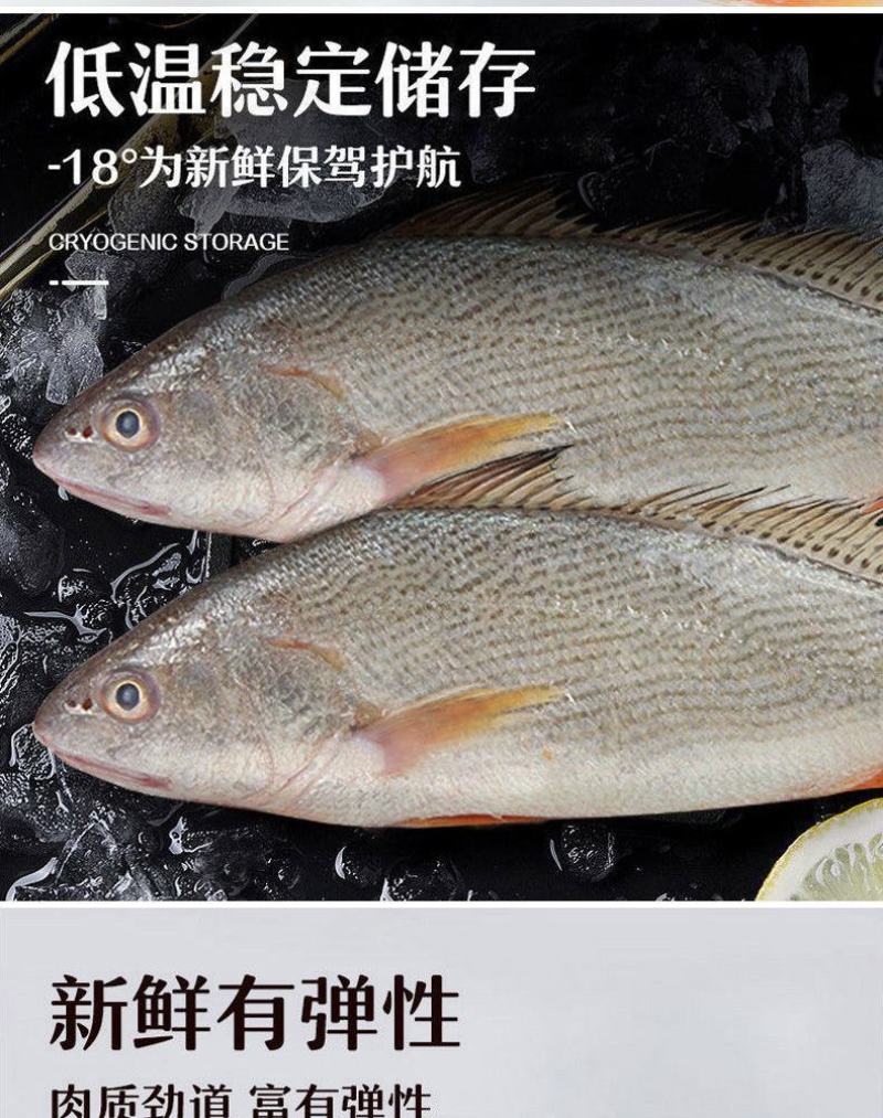 【限时抢购】青岛深海大海鱼批发冷冻新鲜捕捞深海鱼东海大海