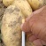 土豆/黄心土豆/湖北土豆/大量上市需要的朋友联系