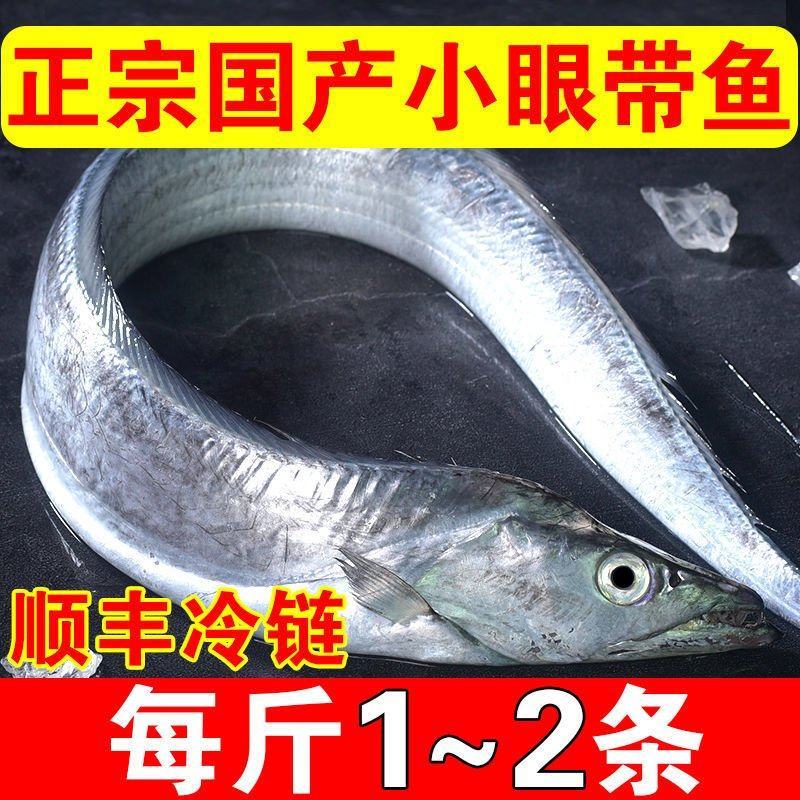 舟山整条带鱼整条无冰新鲜冷冻整箱特级大带鱼整条东海深海