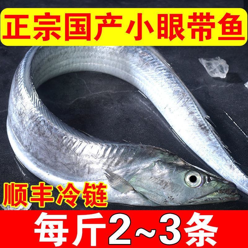 舟山整条带鱼整条无冰新鲜冷冻整箱特级大带鱼整条东海深海