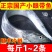 舟山整条带鱼整条无冰新鲜冷冻整箱特级大带鱼整条东海深海