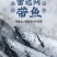 舟山整条带鱼整条无冰新鲜冷冻整箱特级大带鱼整条东海深海