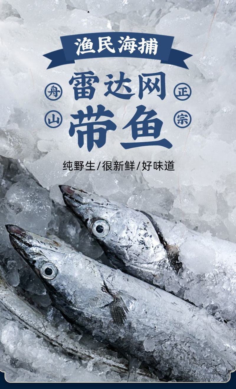 舟山整条带鱼整条无冰新鲜冷冻整箱特级大带鱼整条东海深海