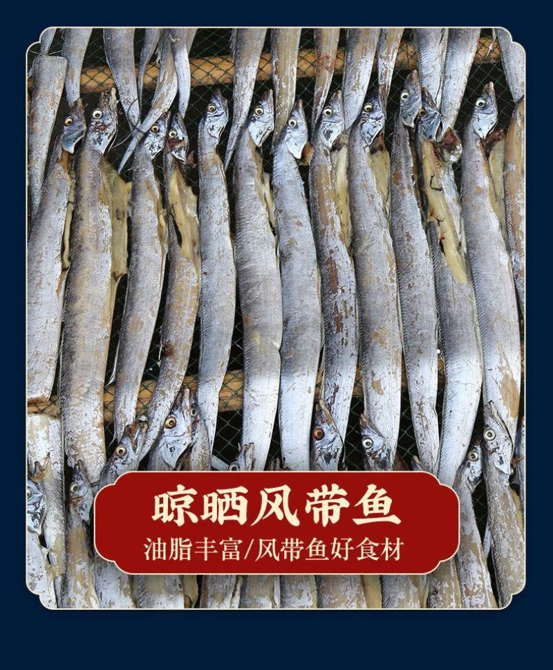 舟山整条带鱼整条无冰新鲜冷冻整箱特级大带鱼整条东海深海