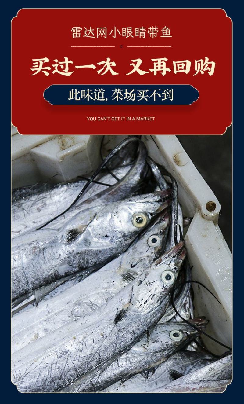 舟山整条带鱼整条无冰新鲜冷冻整箱特级大带鱼整条东海深海