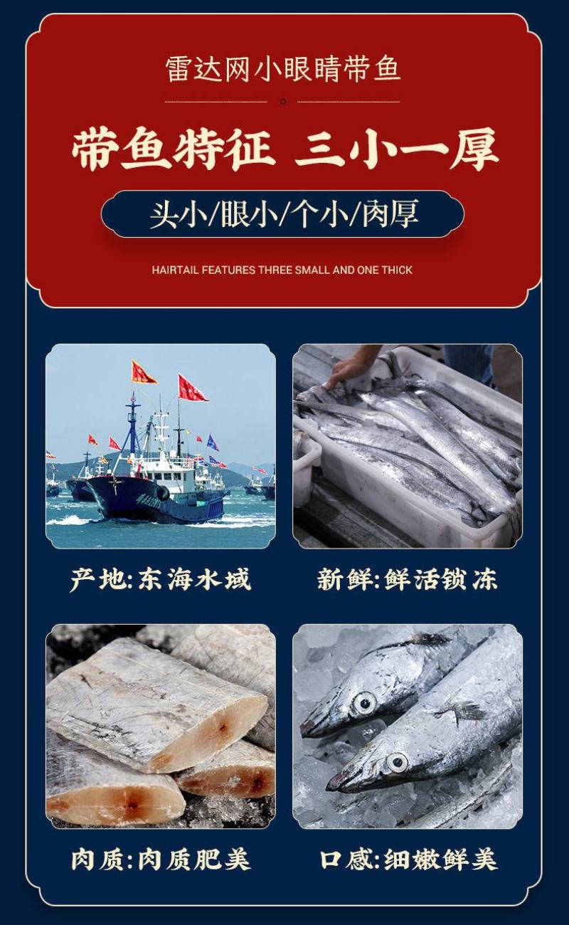 舟山整条带鱼整条无冰新鲜冷冻整箱特级大带鱼整条东海深海