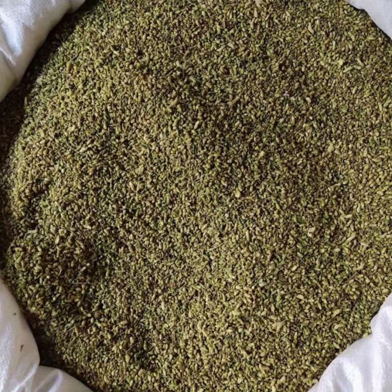 精品槐米大货，颜色绿，净度好，经过风吹，过筛，色选。