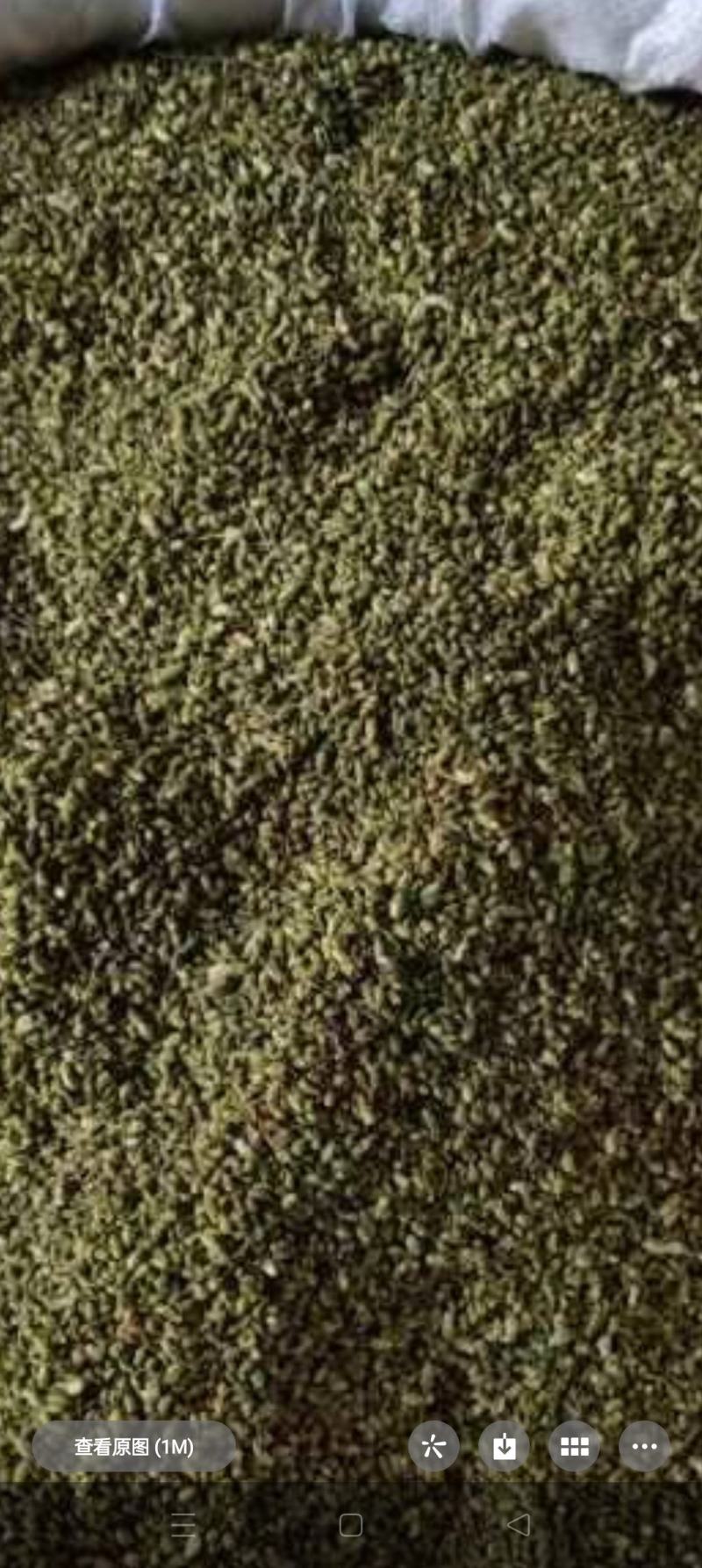 精品槐米大货，颜色绿，净度好，经过风吹，过筛，色选。