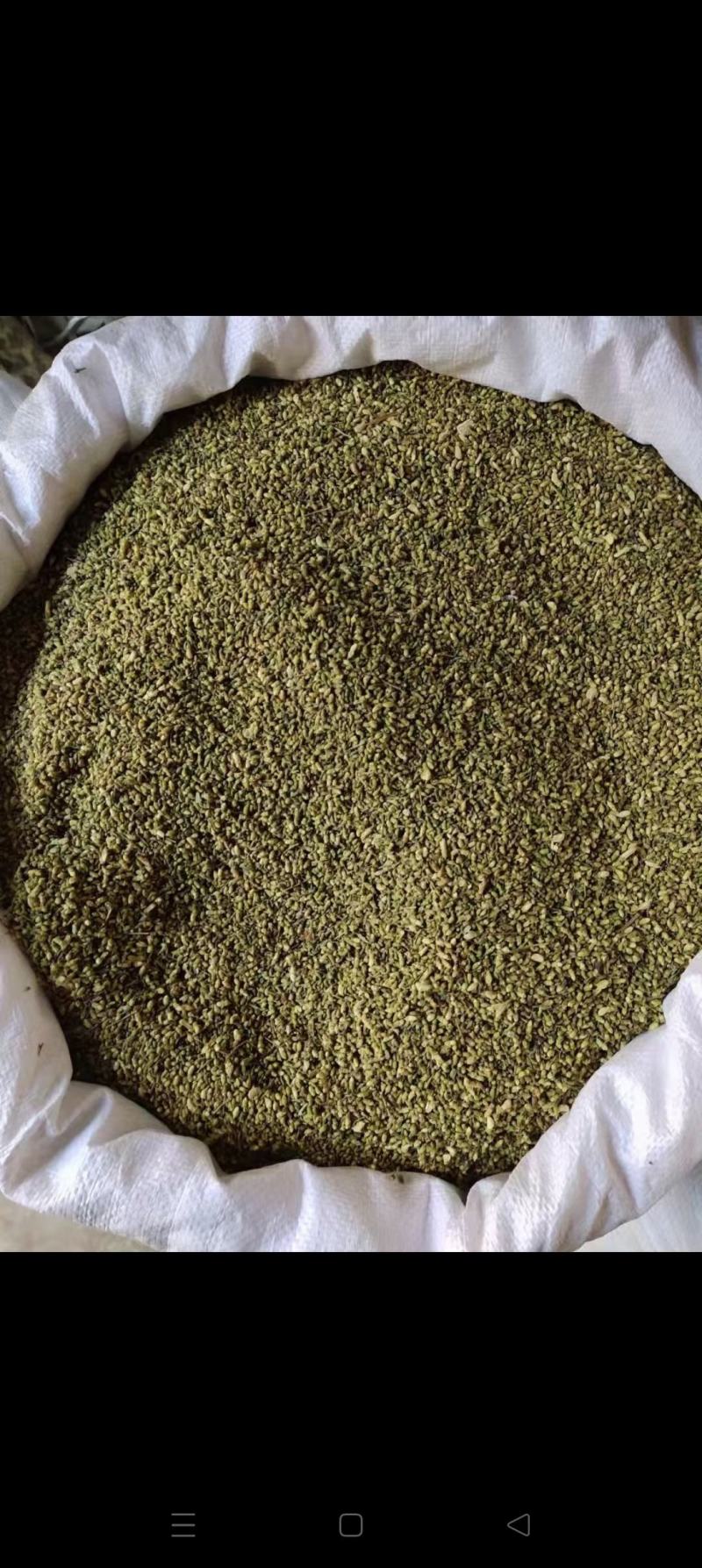 精品槐米大货，颜色绿，净度好，经过风吹，过筛，色选。