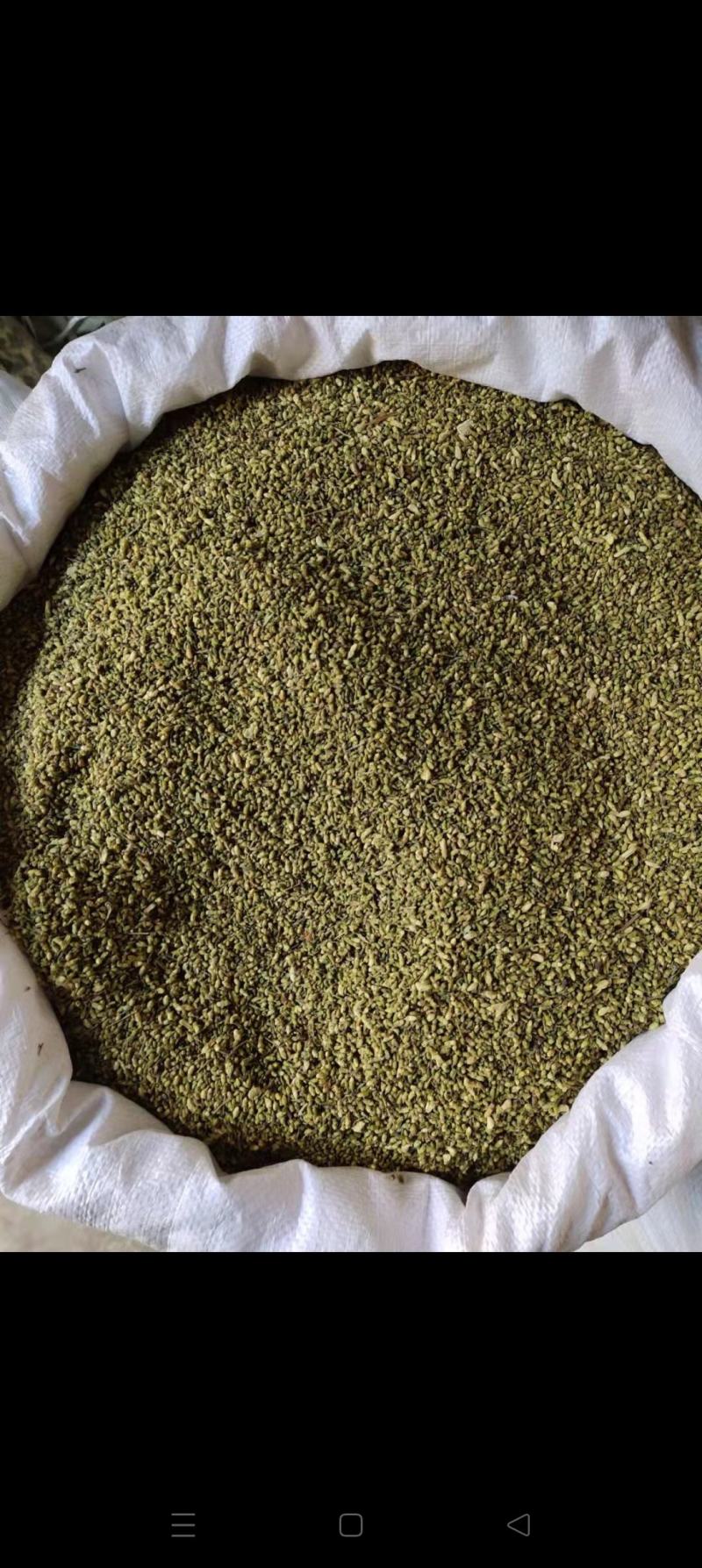 精品槐米大货，颜色绿，净度好，经过风吹，过筛，色选。