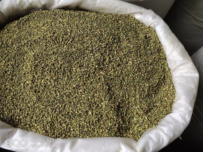 精品槐米大货，颜色绿，净度好，经过风吹，过筛，色选。