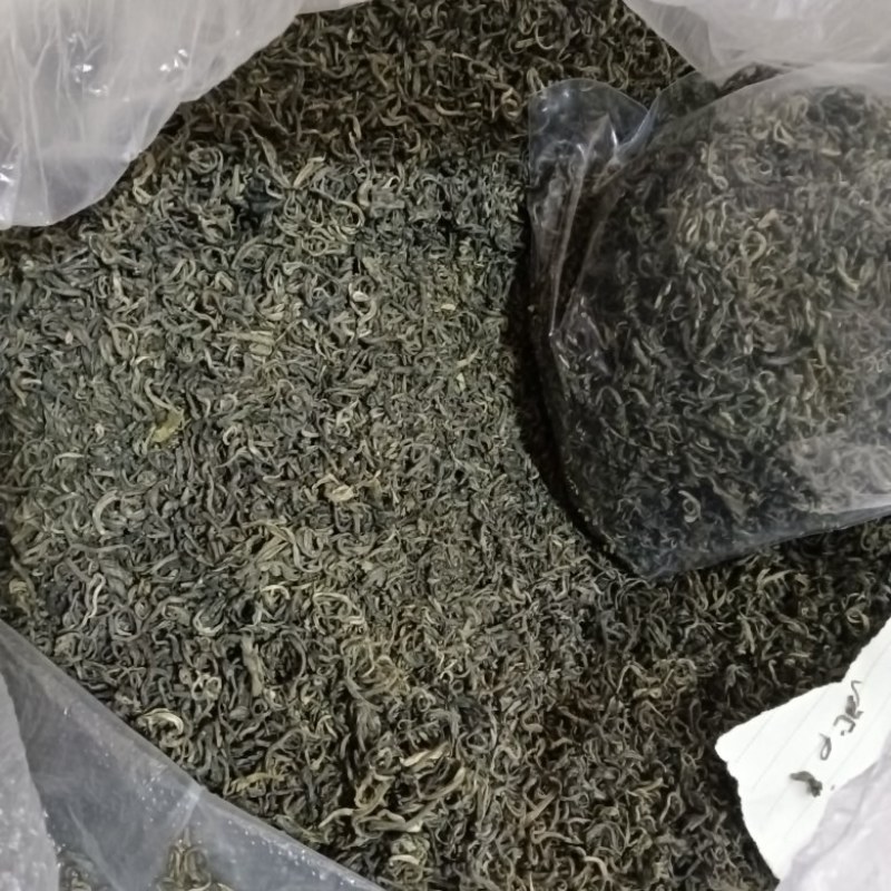 【热销中】云南精品春绿茶一手货源质量保障量大优先