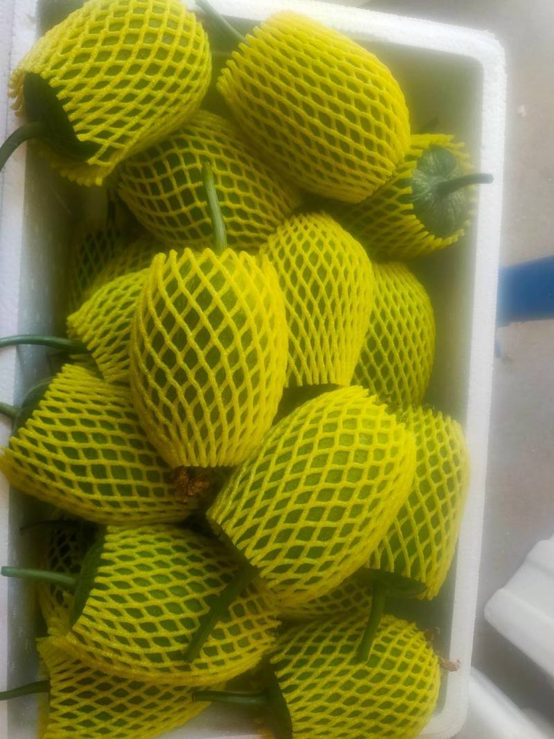 苹果丝瓜议价