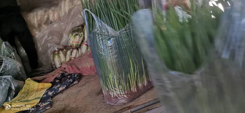 小葱葱苗土苗可移栽，调味大量有货扎捆散装