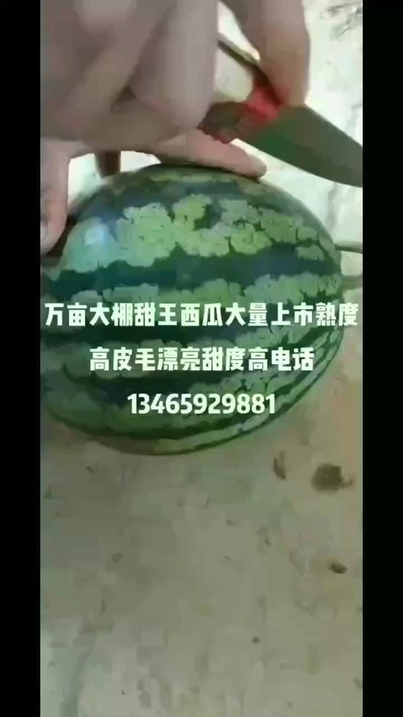 甜王西瓜万亩大棚甜王西瓜大量上市熟度高皮毛漂亮甜度高。