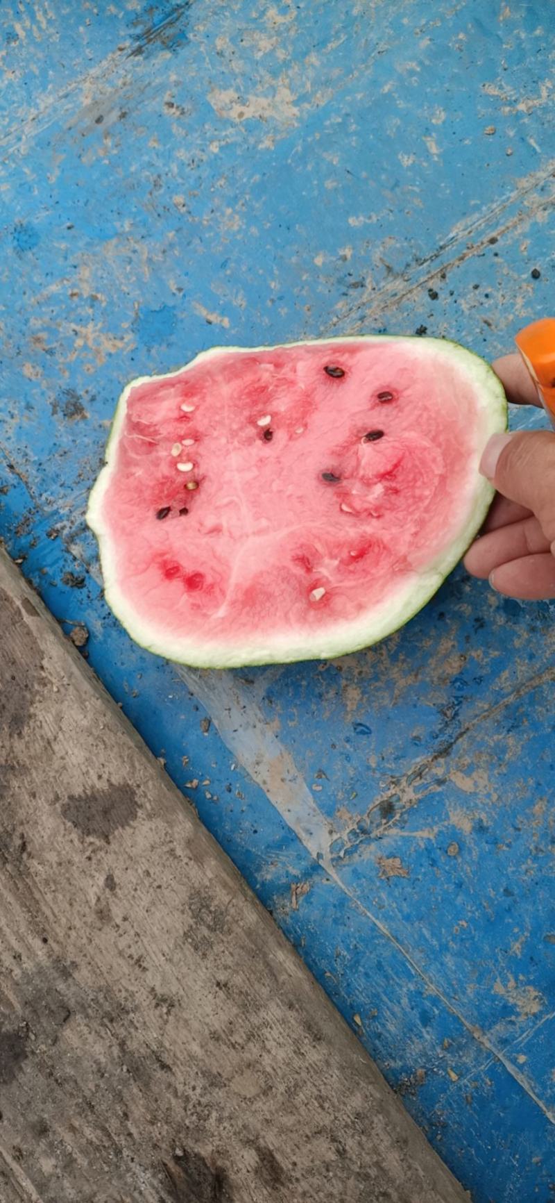 西瓜