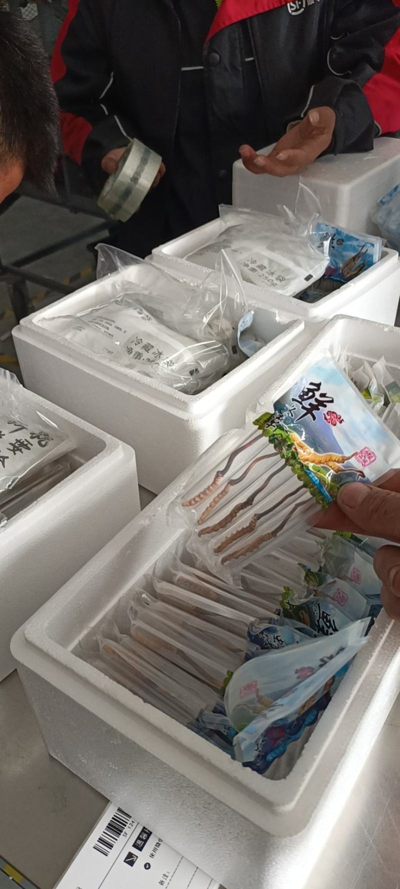 众所周知，家喻户晓冬虫夏草。
