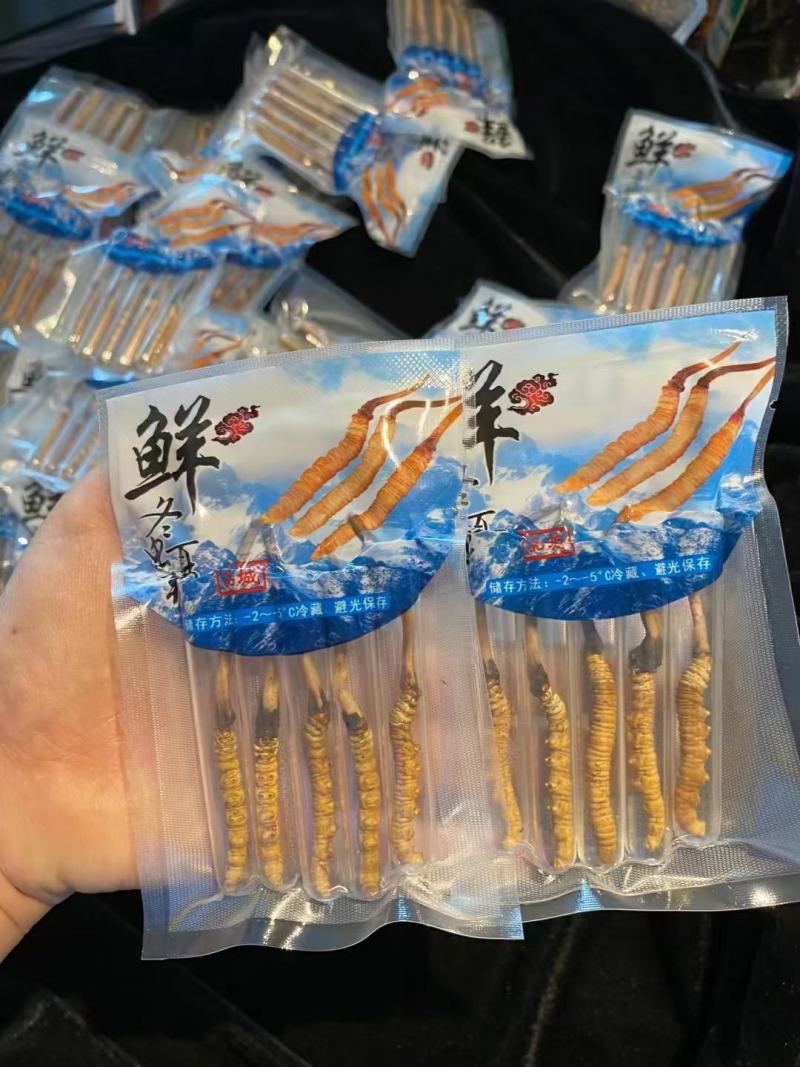 众所周知，家喻户晓冬虫夏草。