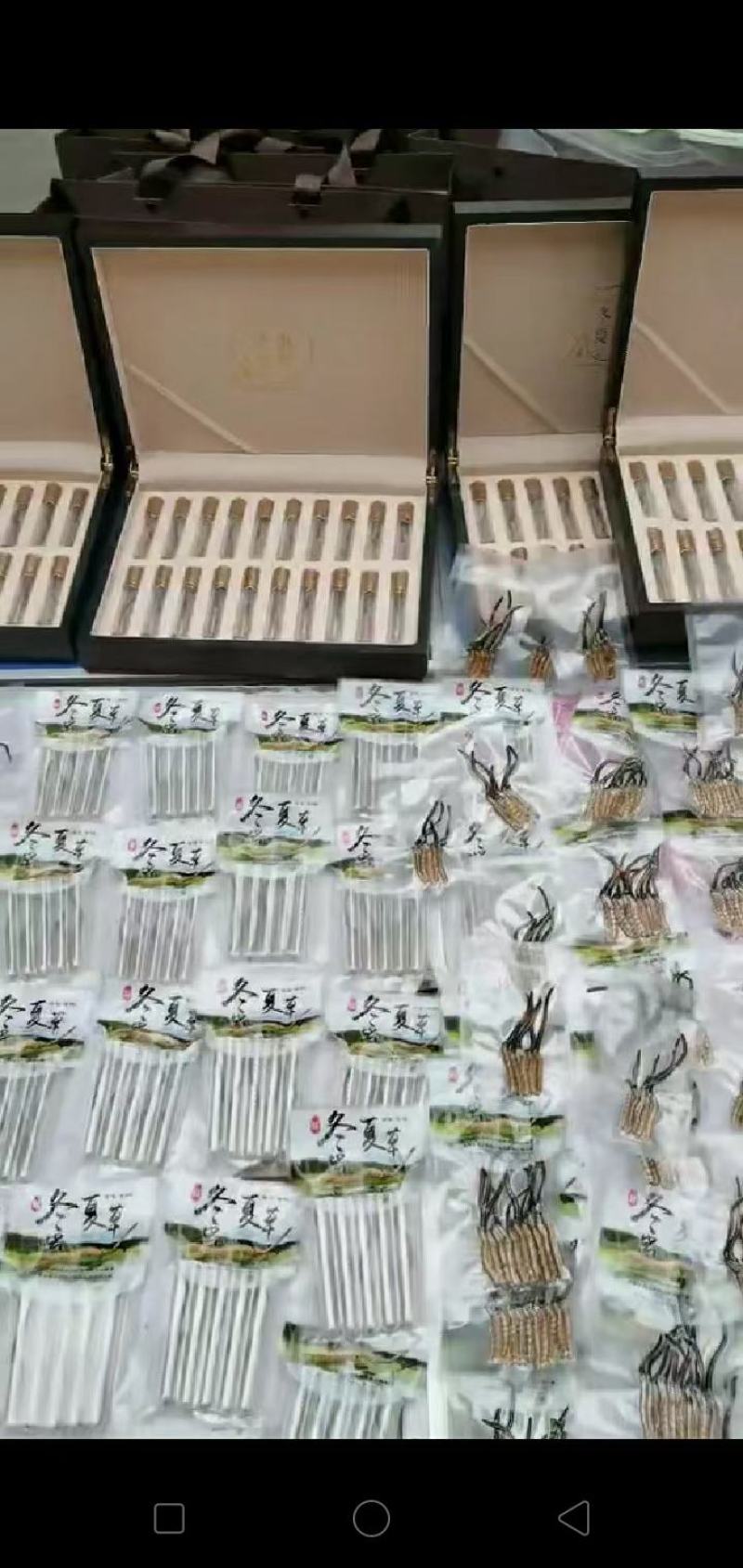 众所周知，家喻户晓冬虫夏草。