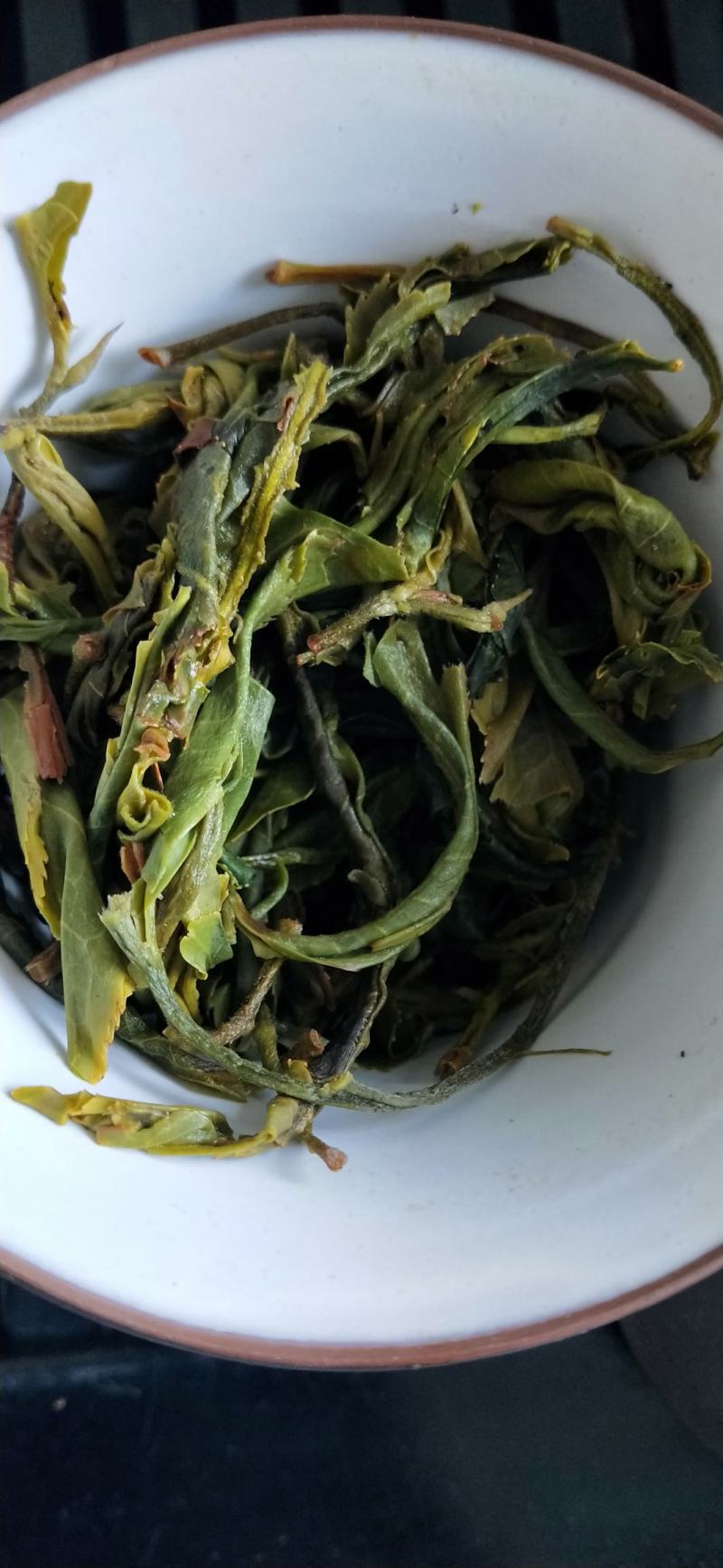 云南凤庆绿茶初加工批发