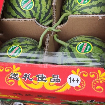 夏邑县精品美都西瓜，一手货源包熟包甜基地大量有货