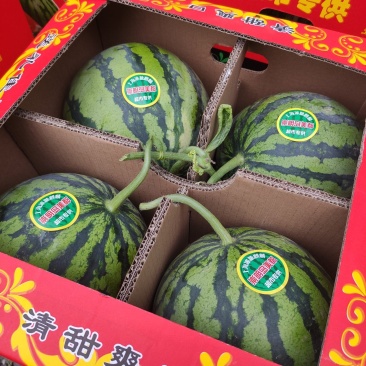 精品麒麟西瓜大量上市基地一手货源对接电商市场商超