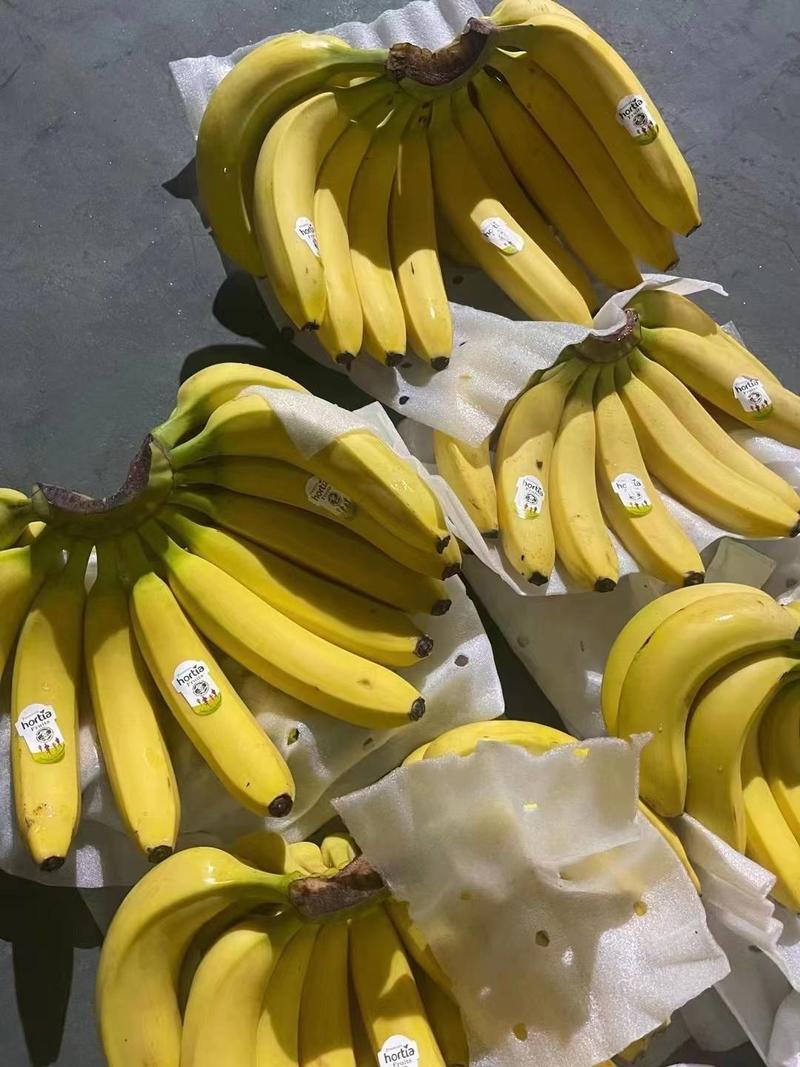 【优选】青蕉二黄香蕉全年供应，规格齐全，价格便宜