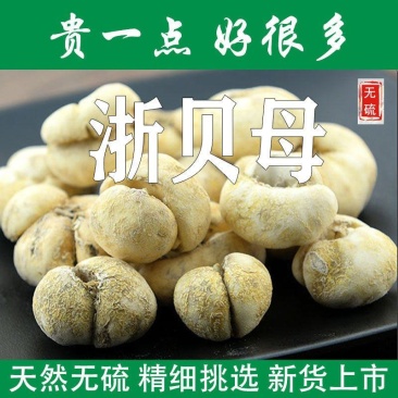中药材浙贝母个浙贝大贝母个象贝无硫浙贝大贝新
