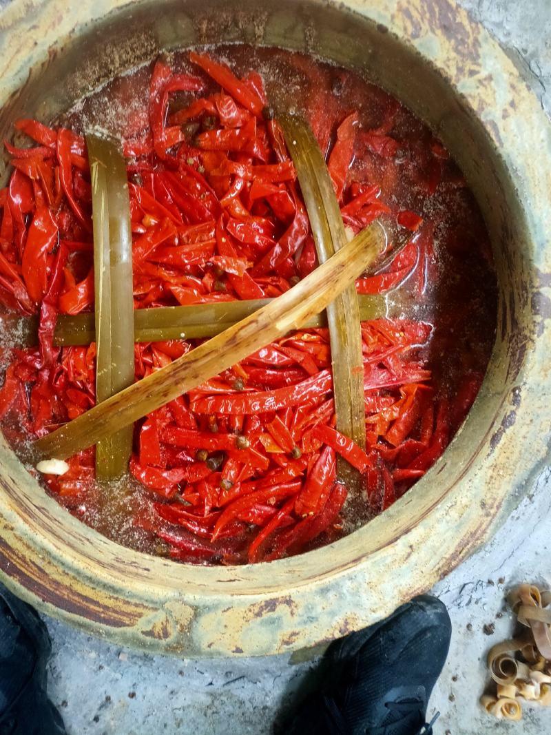 精品泡椒，泡姜、泡萝卜、榨菜头、榨菜块等泡菜系列